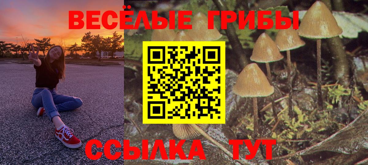 Галлюциногенные грибы Magic Shrooms Похвистнево