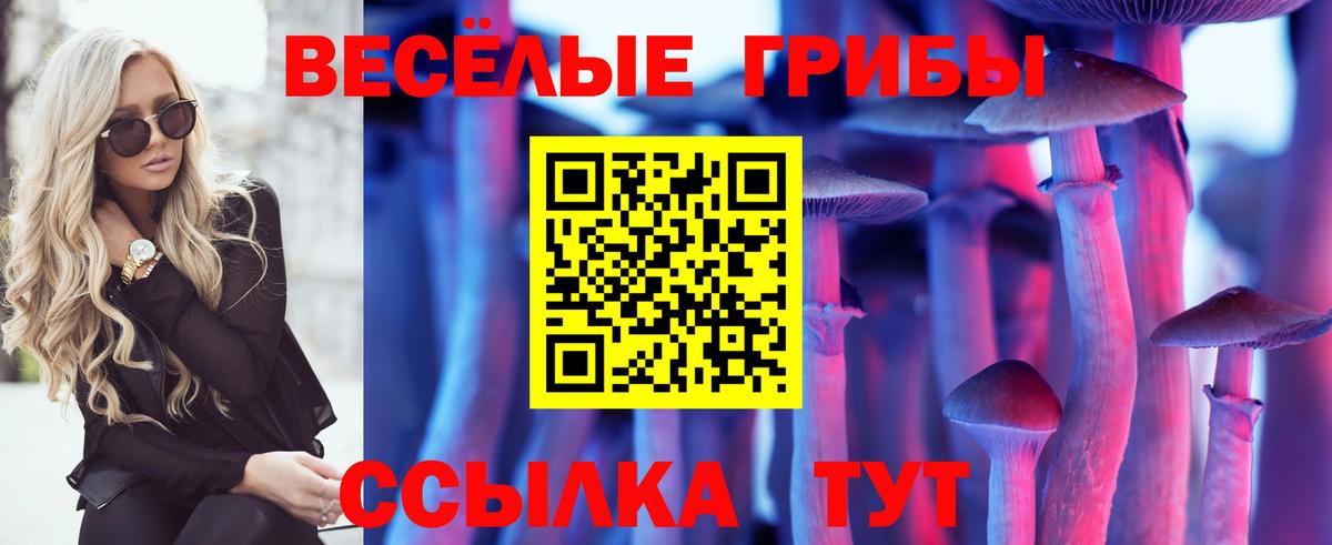 Похвистнево  Галлюциногенные грибы ЛСД  Псилоцибиновые грибы мухоморы  Вход с VPN 